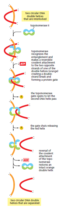 Figure 5-22.png